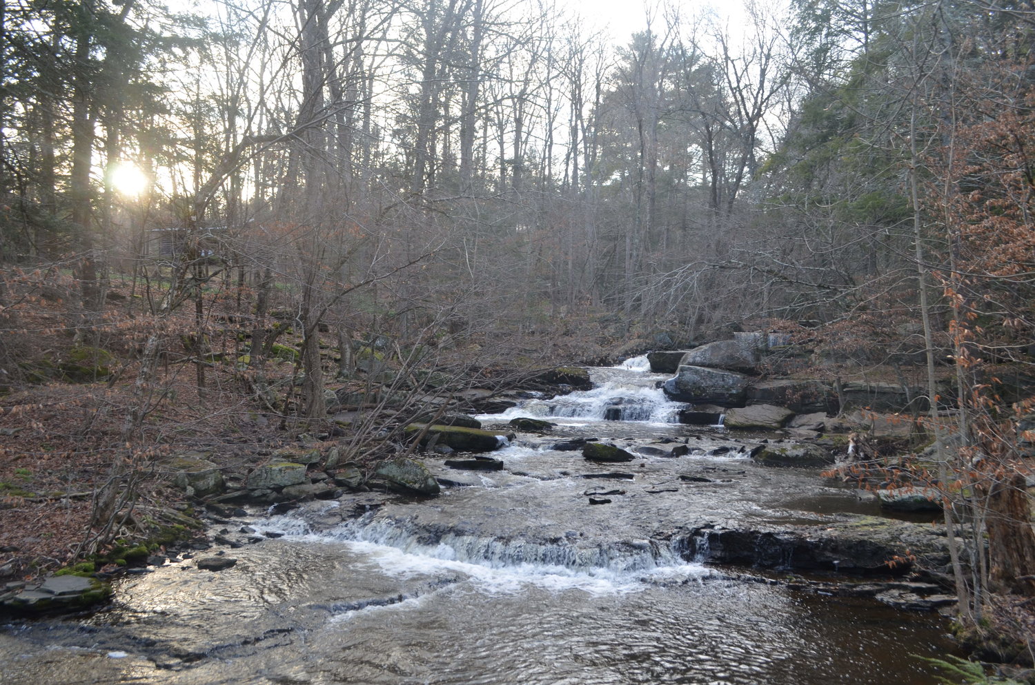 Minnie Falls, part of a pre-existing town park added to the former golf course property to create the Forest Reserve.
